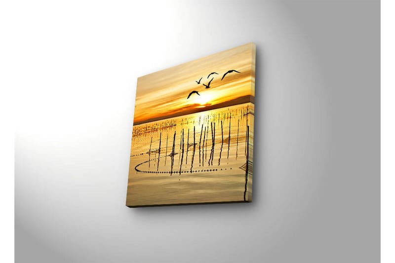 Canvasbilde Dekorativ LED-belysning - Flerfarget - Interiør - Maleri & posters - Lerretsbilder