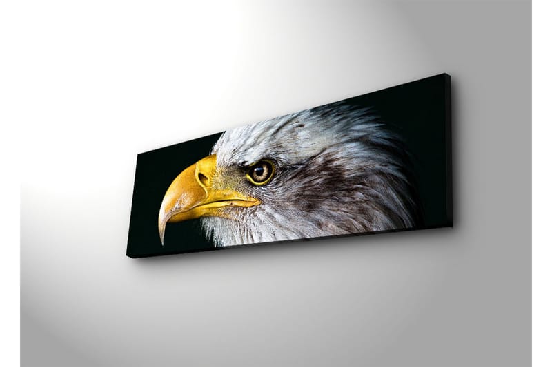 Canvasbilde Dekorativ LED-belysning - Flerfarget - Interiør - Maleri & posters - Lerretsbilder