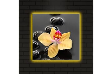 Canvasbilde Dekorativ LED-belysning - Flerfarget - Interiør - Maleri & posters - Lerretsbilder
