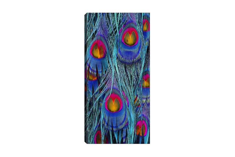 Canvasbilde DKY Abstract & Fractals Flerfarget - 50x120 cm - Interiør - Maleri & posters - Lerretsbilder