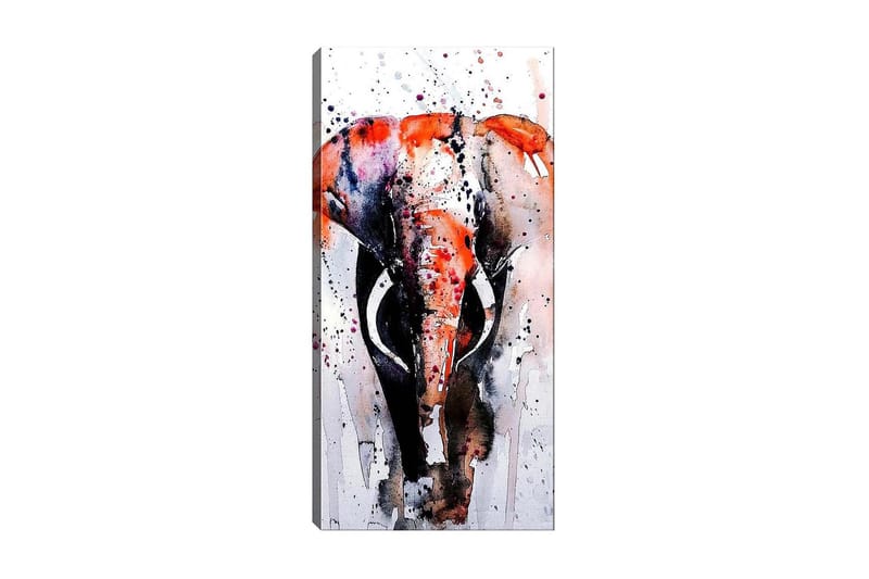 Canvasbilde DKY Animals Flerfarget - 50x120 cm - Interiør - Maleri & posters - Lerretsbilder