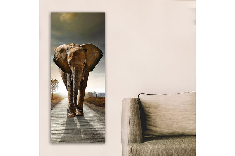Canvasbilde DKY Animals Flerfarget - 50x120 cm - Interiør - Maleri & posters - Lerretsbilder