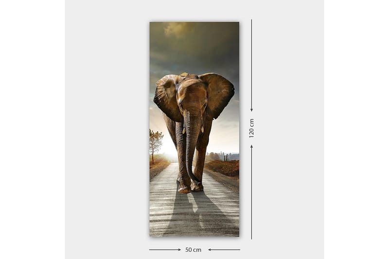 Canvasbilde DKY Animals Flerfarget - 50x120 cm - Interiør - Maleri & posters - Lerretsbilder