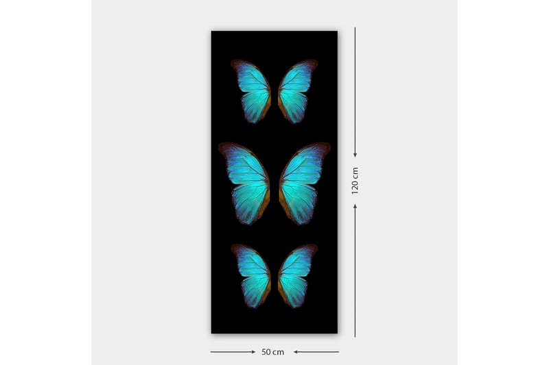 Canvasbilde DKY Animals Flerfarget - 50x120 cm - Interiør - Maleri & posters - Lerretsbilder