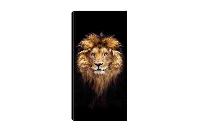 Canvasbilde DKY Animals Flerfarget - 50x120 cm - Interiør - Maleri & posters - Lerretsbilder