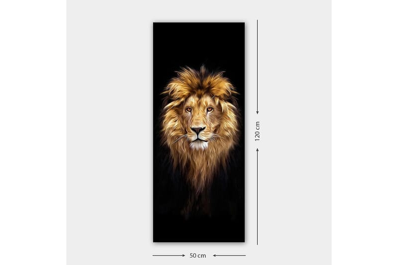 Canvasbilde DKY Animals Flerfarget - 50x120 cm - Interiør - Maleri & posters - Lerretsbilder