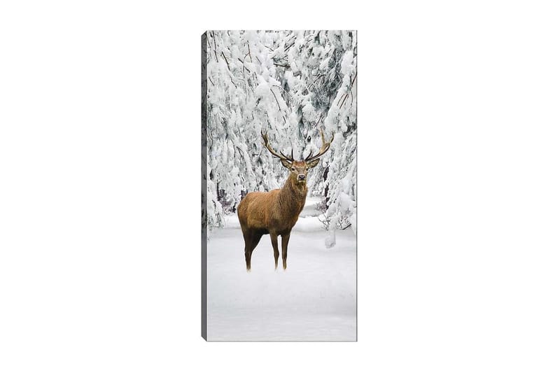 Canvasbilde DKY Animals Flerfarget - 50x120 cm - Interiør - Maleri & posters - Lerretsbilder