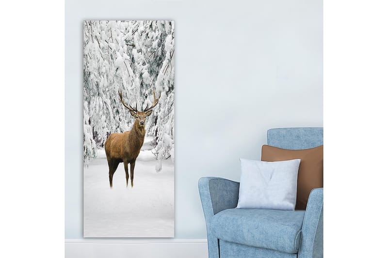 Canvasbilde DKY Animals Flerfarget - 50x120 cm - Interiør - Maleri & posters - Lerretsbilder