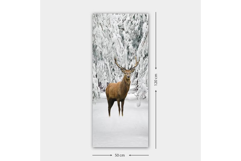 Canvasbilde DKY Animals Flerfarget - 50x120 cm - Interiør - Maleri & posters - Lerretsbilder
