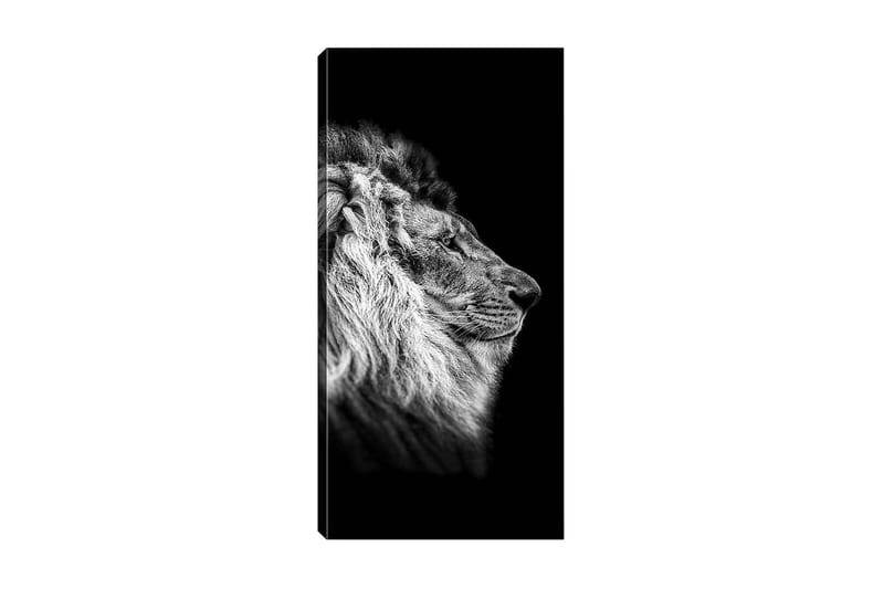 Canvasbilde DKY Animals Flerfarget - 50x120 cm - Interiør - Maleri & posters - Lerretsbilder