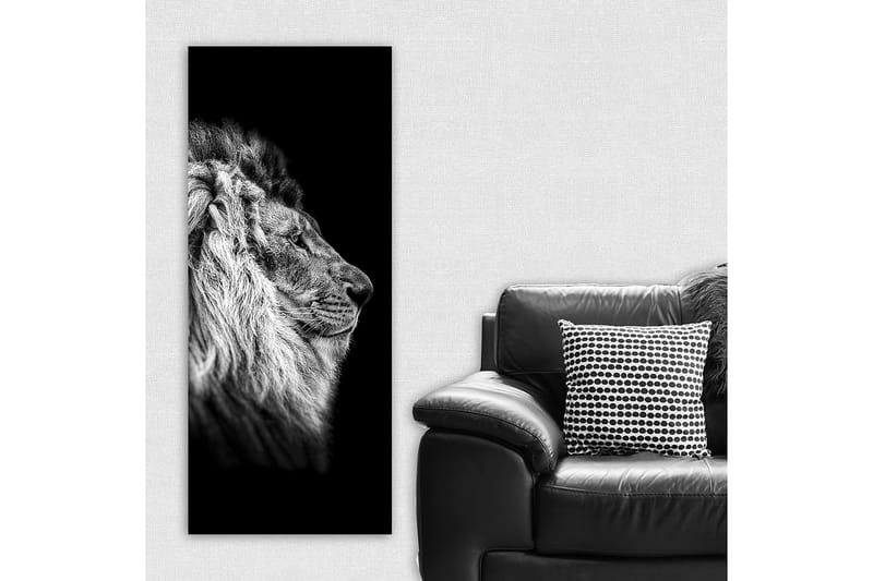 Canvasbilde DKY Animals Flerfarget - 50x120 cm - Interiør - Maleri & posters - Lerretsbilder