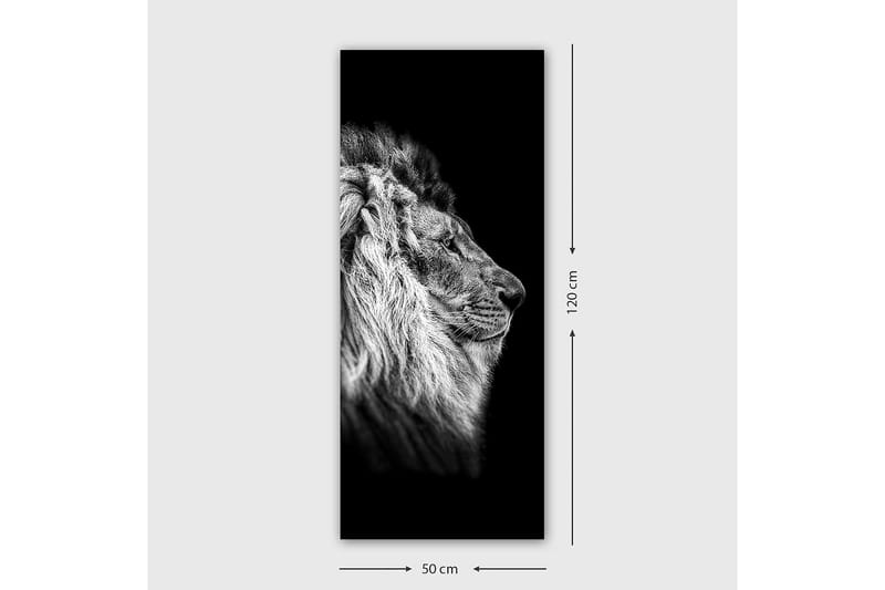 Canvasbilde DKY Animals Flerfarget - 50x120 cm - Interiør - Maleri & posters - Lerretsbilder