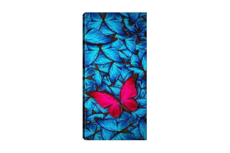 Canvasbilde DKY Animals Flerfarget - 50x120 cm - Interiør - Maleri & posters - Lerretsbilder
