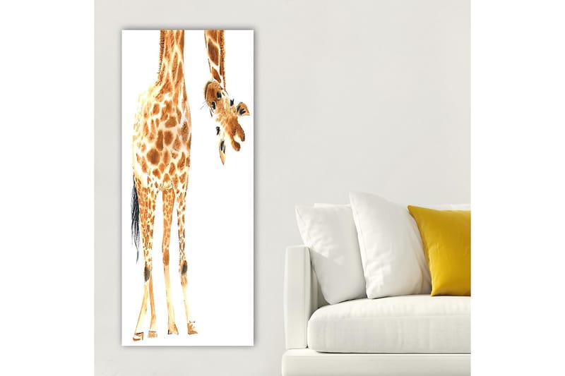 Canvasbilde DKY Animals Flerfarget - 50x120 cm - Interiør - Maleri & posters - Lerretsbilder