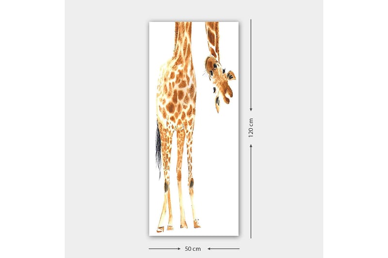 Canvasbilde DKY Animals Flerfarget - 50x120 cm - Lerretsbilder