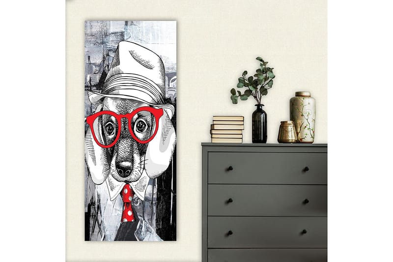 Canvasbilde DKY Animals Flerfarget - 50x120 cm - Interiør - Maleri & posters - Lerretsbilder