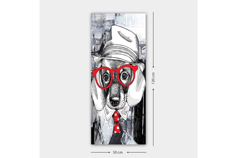 Canvasbilde DKY Animals Flerfarget - 50x120 cm - Interiør - Maleri & posters - Lerretsbilder