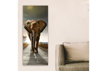 Canvasbilde DKY Animals Flerfarget - 50x120 cm - Interiør - Maleri & posters - Lerretsbilder
