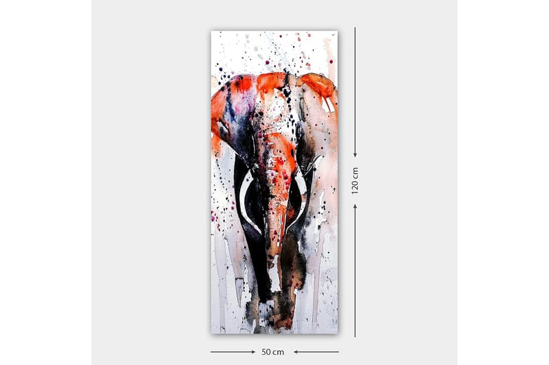 Canvasbilde DKY Animals Flerfarget - 50x120 cm - Interiør - Maleri & posters - Lerretsbilder