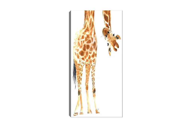 Canvasbilde DKY Animals Flerfarget, 50x120 cm