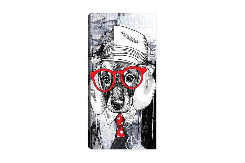 Canvasbilde DKY Animals Flerfarget, 50x120 cm