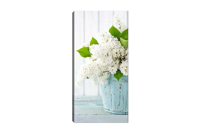 Canvasbilde DKY Floral & Botanical Flerfarget, 50x120 cm