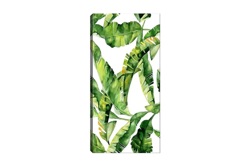 Canvasbilde DKY Floral & Botanical Flerfarget, 50x120 cm