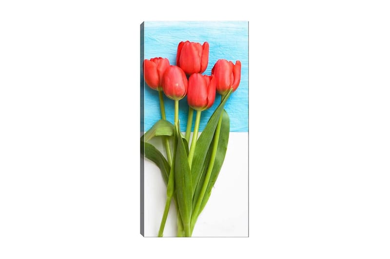 Canvasbilde DKY Floral & Botanical Flerfarget - 50x120 cm - Interiør - Maleri & posters - Lerretsbilder