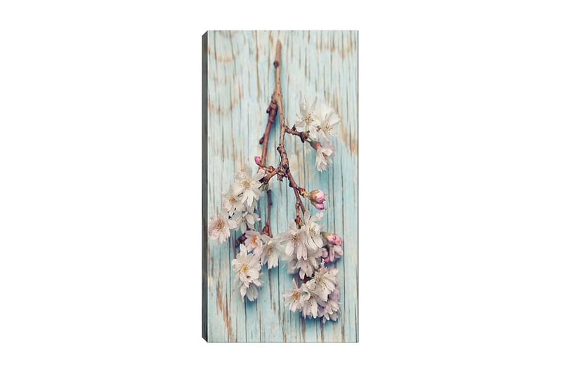 Canvasbilde DKY Floral & Botanical Flerfarget - 50x120 cm - Interiør - Maleri & posters - Lerretsbilder