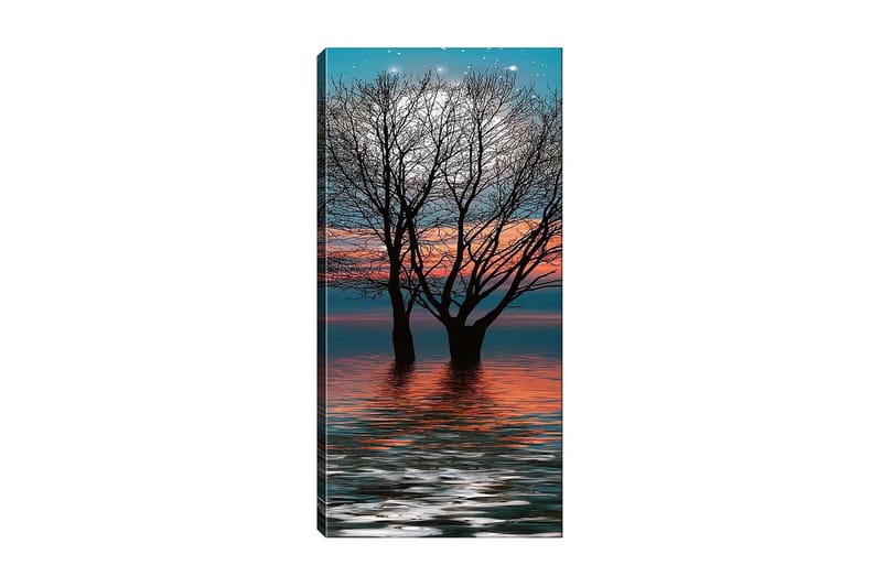 Canvasbilde DKY Floral & Botanical Flerfarget - 50x120 cm - Interiør - Maleri & posters - Lerretsbilder
