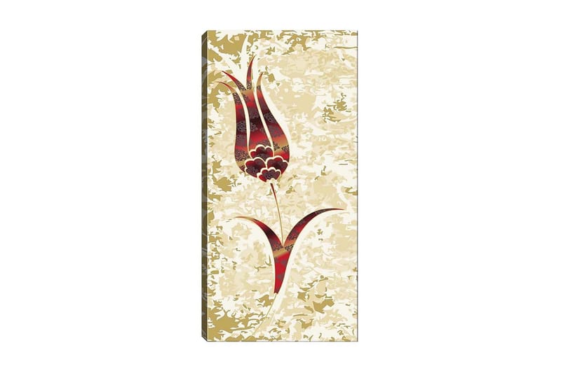 Canvasbilde DKY Floral & Botanical Flerfarget - 50x120 cm - Interiør - Maleri & posters - Lerretsbilder