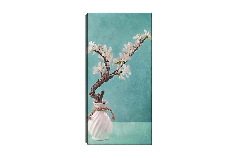Canvasbilde DKY Floral & Botanical Flerfarget - 50x120 cm - Interiør - Maleri & posters - Lerretsbilder