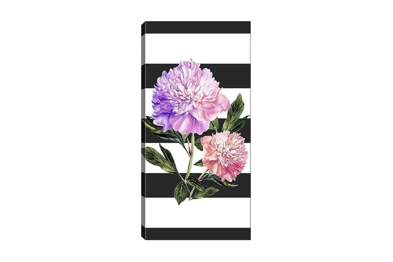 Canvasbilde DKY Floral & Botanical Flerfarget - 50x120 cm - Interiør - Maleri & posters - Lerretsbilder