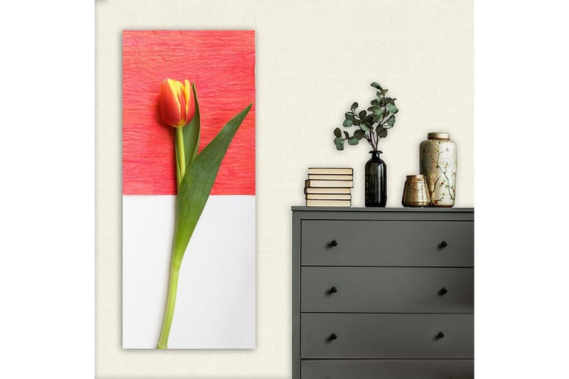 Canvasbilde DKY Floral & Botanical Flerfarget - 50x120 cm - Interiør - Maleri & posters - Lerretsbilder
