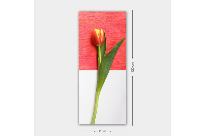 Canvasbilde DKY Floral & Botanical Flerfarget - 50x120 cm - Interiør - Maleri & posters - Lerretsbilder