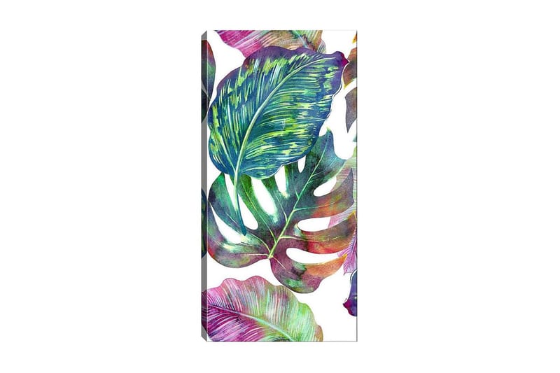 Canvasbilde DKY Floral & Botanical Flerfarget - 50x120 cm - Interiør - Maleri & posters - Lerretsbilder