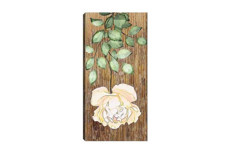 Canvasbilde DKY Floral & Botanical Flerfarget - 50x120 cm - Interiør - Maleri & posters - Lerretsbilder