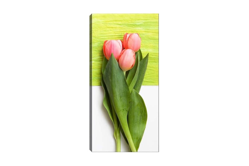 Canvasbilde DKY Floral & Botanical Flerfarget - 50x120 cm - Interiør - Maleri & posters - Lerretsbilder