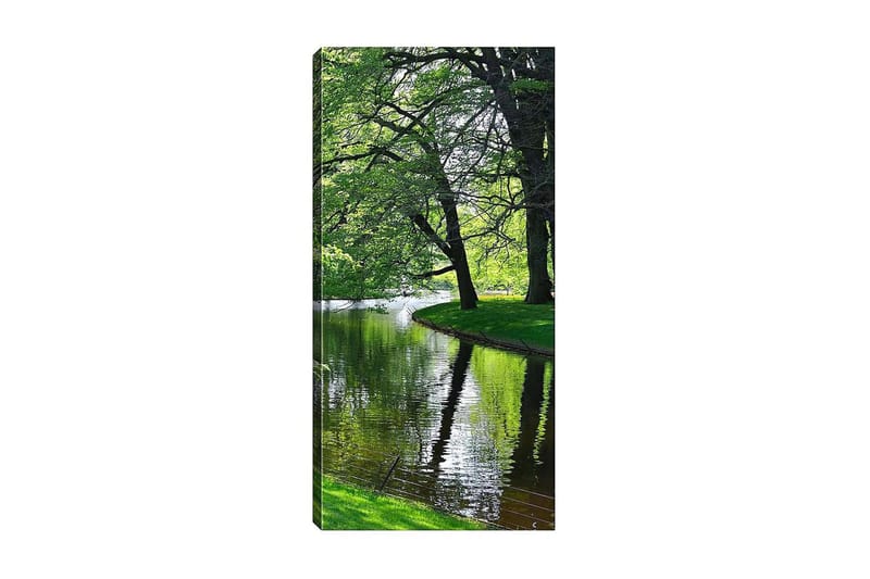 Canvasbilde DKY Floral & Botanical Flerfarget - 50x120 cm - Interiør - Maleri & posters - Lerretsbilder