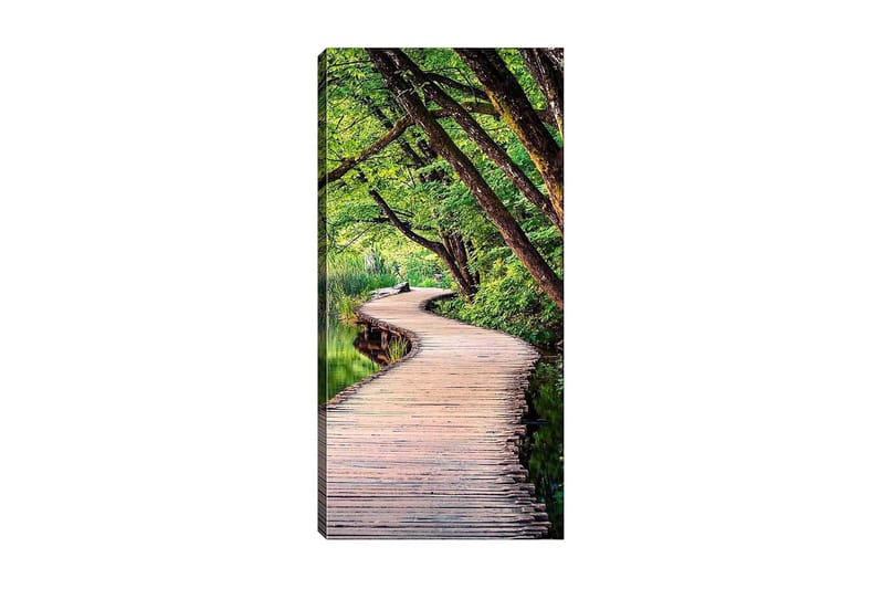 Canvasbilde DKY Floral & Botanical Flerfarget - 50x120 cm - Interiør - Maleri & posters - Lerretsbilder