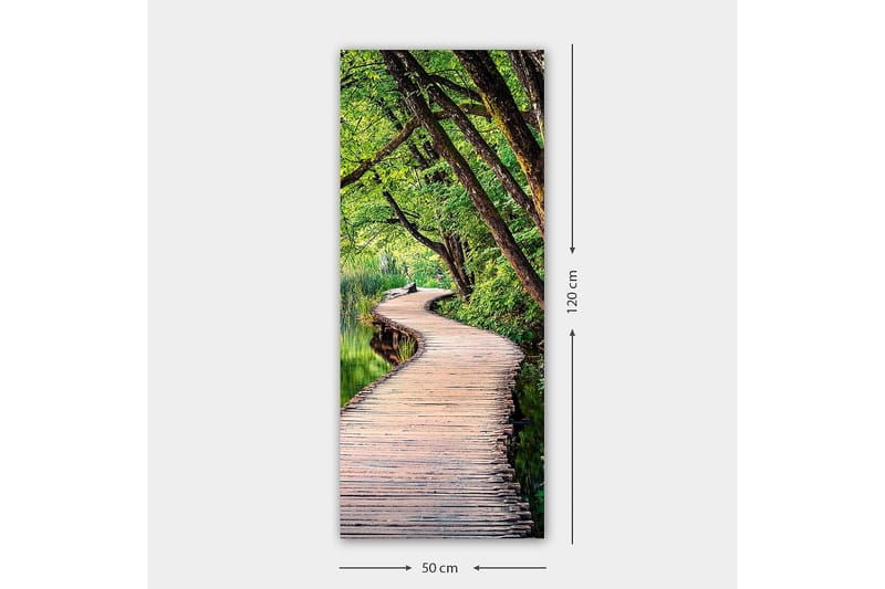 Canvasbilde DKY Floral & Botanical Flerfarget - 50x120 cm - Interiør - Maleri & posters - Lerretsbilder