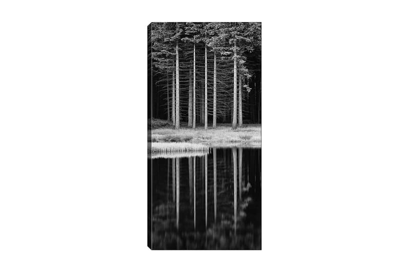 Canvasbilde DKY Floral & Botanical Flerfarget - 50x120 cm - Interiør - Maleri & posters - Lerretsbilder