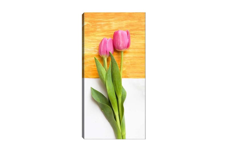 Canvasbilde DKY Floral & Botanical Flerfarget - 50x120 cm - Interiør - Maleri & posters - Lerretsbilder