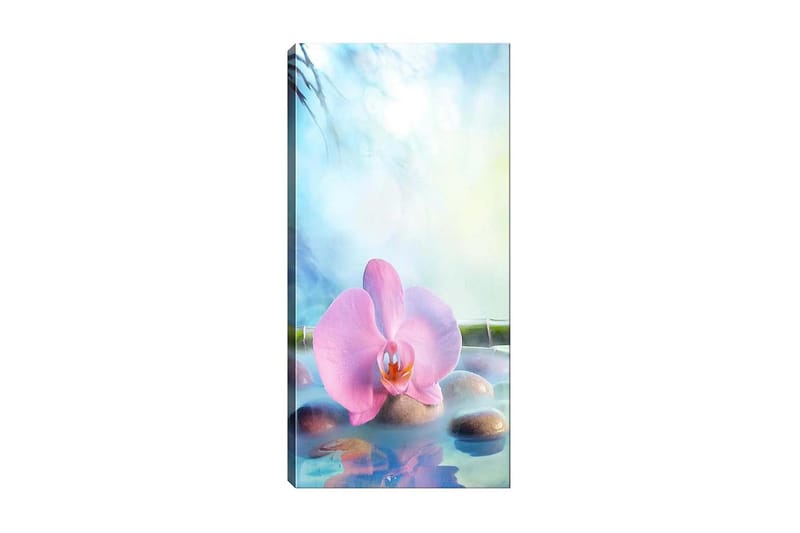 Canvasbilde DKY Floral & Botanical Flerfarget - 50x120 cm - Interiør - Maleri & posters - Lerretsbilder