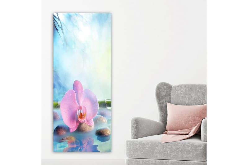 Canvasbilde DKY Floral & Botanical Flerfarget - 50x120 cm - Interiør - Maleri & posters - Lerretsbilder