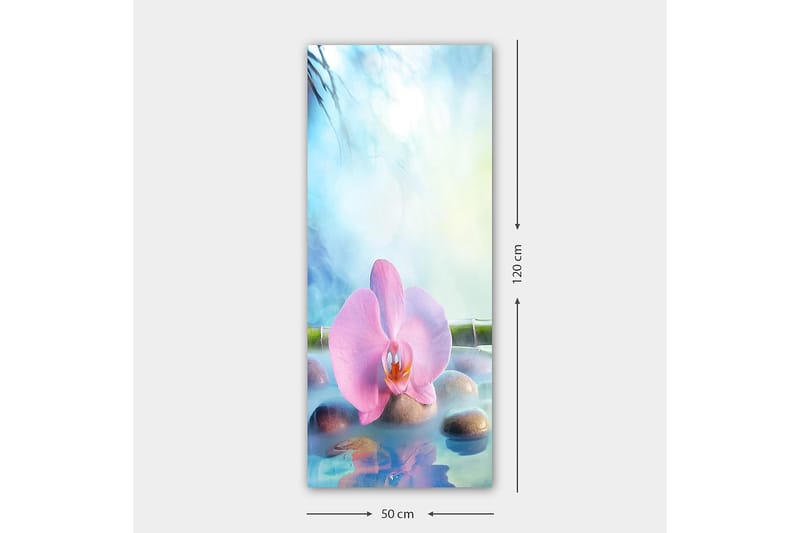Canvasbilde DKY Floral & Botanical Flerfarget - 50x120 cm - Interiør - Maleri & posters - Lerretsbilder