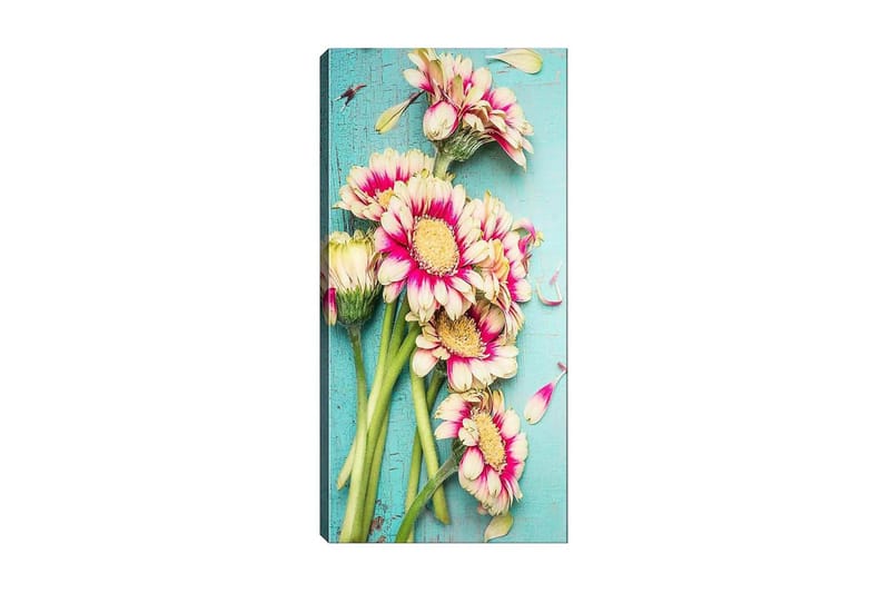 Canvasbilde DKY Floral & Botanical Flerfarget - 50x120 cm - Interiør - Maleri & posters - Lerretsbilder