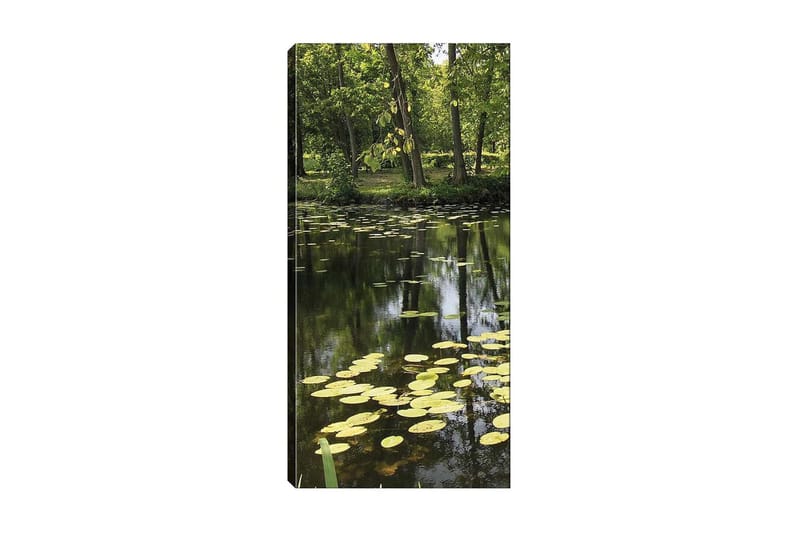 Canvasbilde DKY Floral & Botanical Flerfarget - 50x120 cm - Interiør - Maleri & posters - Lerretsbilder