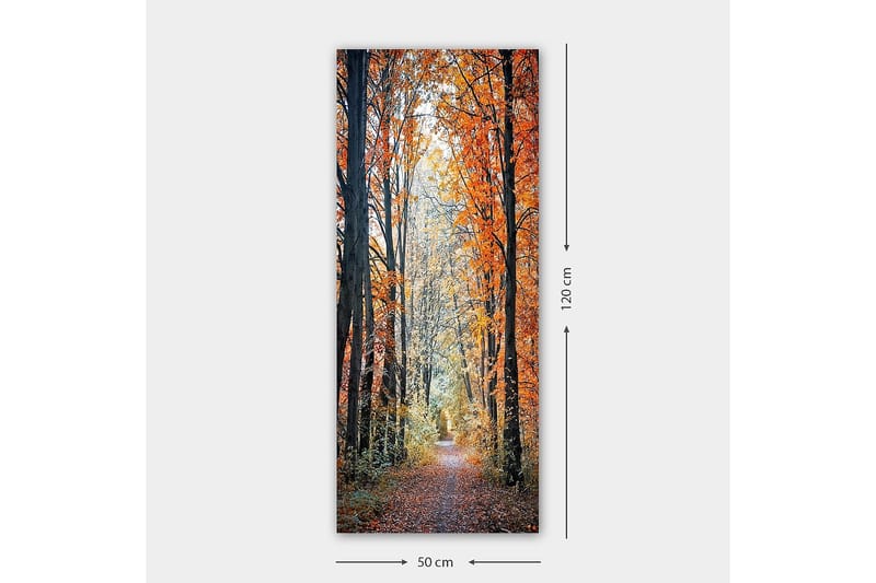 Canvasbilde DKY Floral & Botanical Flerfarget - 50x120 cm - Interiør - Maleri & posters - Lerretsbilder