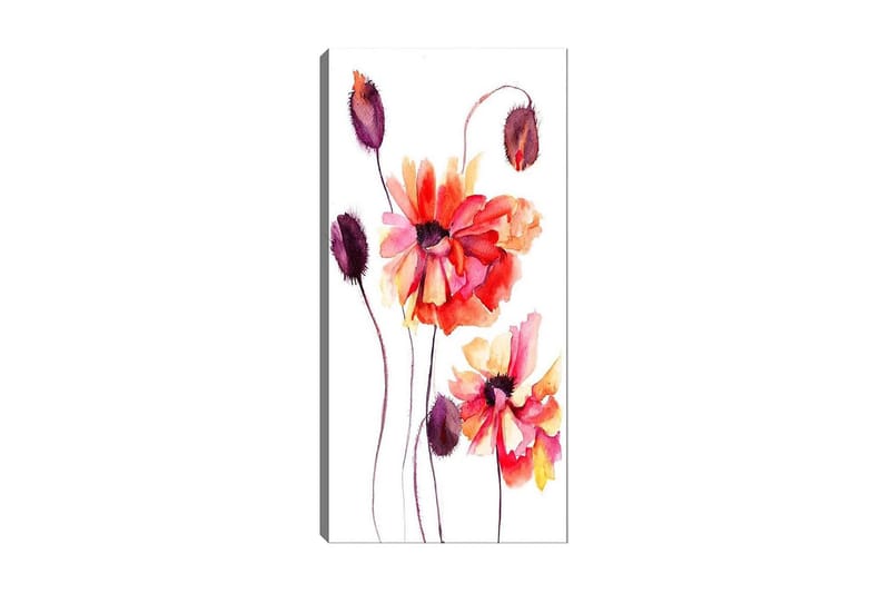 Canvasbilde DKY Floral & Botanical Flerfarget - 50x120 cm - Interiør - Maleri & posters - Lerretsbilder